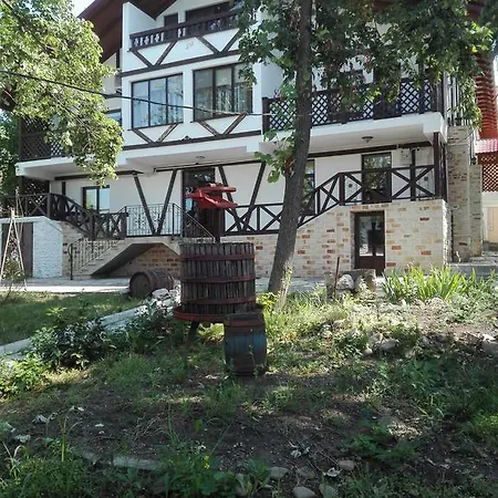 Vila Codru Willa *